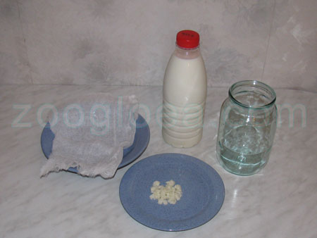 Components for preparation of kefir